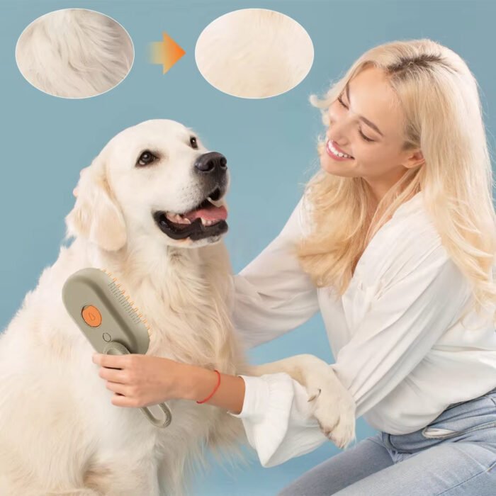 Steam Pet Brush 3-in-1 Massage Dog Steamy Brush Spray Beauty Tangled And Loose Hair Removal Cats Grooming Comb Dogs - Image 1