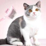 Self Cleaning Slicker Brush For Dogs, Cats Pets-One Click Cleaning Function-Gentle Effective Cat, Pet Dog Hair Remover-Dog Grooming Accessories For Small, Medium Large Dogs - Image 9