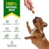 Dog Peanut Butter Bones With Cranberry Rawhide Free Chew Treats Pet Natural Mini & Big Organic Snacks Healthy Collagen & Bulk Best Chews For Small & Large Dogs - Image 4