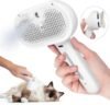 Pets Spray Hair Comb Pet Hair Remover Cleaning Brush Cats Grooming Dog Accessories Tools Dematting Water Mist Humidifier Comb Pet Supplies