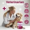 Dog UTI Treatment Cranberry Supplement Bladder Control Urinary Tract Infection Incontinence Pill Bladder Stones UTI Medicine Treats 70 Soft Chews For Kidney Support With Fish Oil - Image 4
