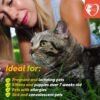 Flea And Tick Prevention For Dogs Cats Rabbits Natural Flea Treatment Home Pest Control Topical Flea Mosquito Repellent For Puppy Kitten 3 Drops For Small And Large Pet - Image 7