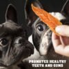 Chicken Jerky Dog Treats 1.5 Lb Human Grade Pet Snacks Grain Free Organic Meat All Natural High Protein Dried Strips Best Chews For Training Small & Large Dogs - Image 5