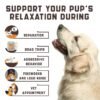 Natural Calming Chews For Dogs With Hemp Oil And Valerian Root Peanut Butter Flavor 180 Chews - Image 6