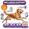 Dog Multivitamin Chewable Dog Vitamins And Supplements With Glucosamine 170 Chews Hip & Joint Pet Immune Support Skin & Coat Gut & Heart Health Senior & Puppy Multivitamin Pet Supplement - Image 3