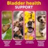 Dog UTI Treatment Cranberry Supplement Bladder Control Urinary Tract Infection Incontinence Pill Bladder Stones UTI Medicine Treats 70 Soft Chews For Kidney Support With Fish Oil - Image 7